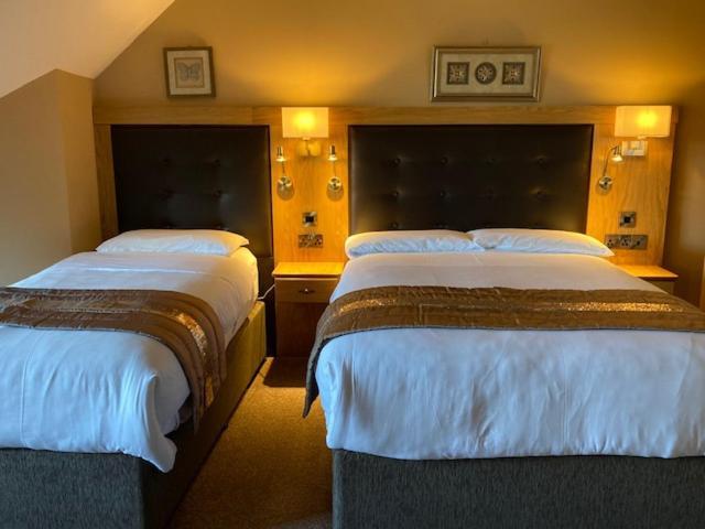 Tailors Lodge, Continental Breakfast Castleisland Exteriér fotografie